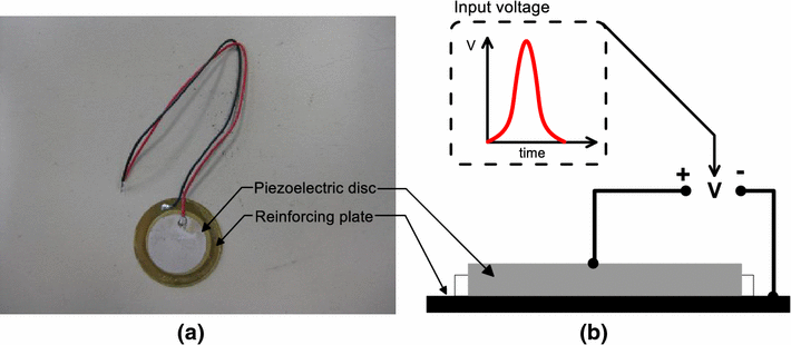 Fig. 2