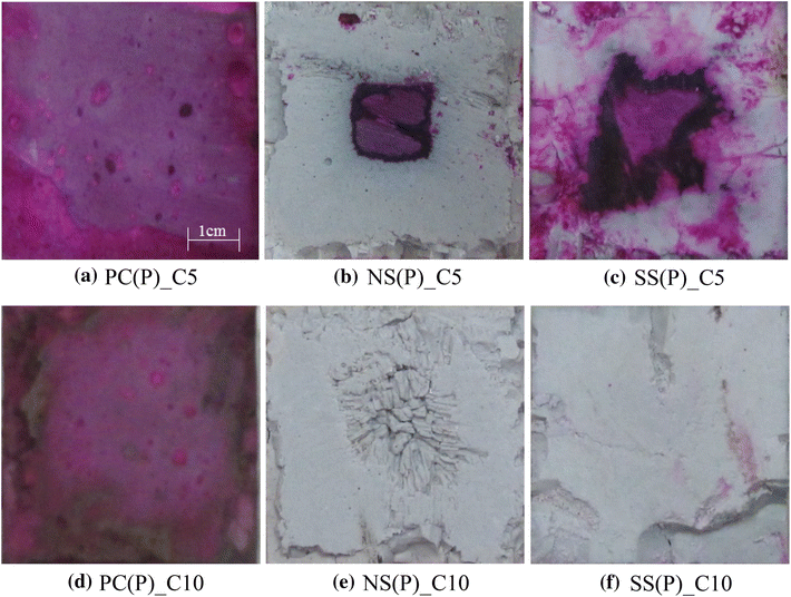 Fig. 1