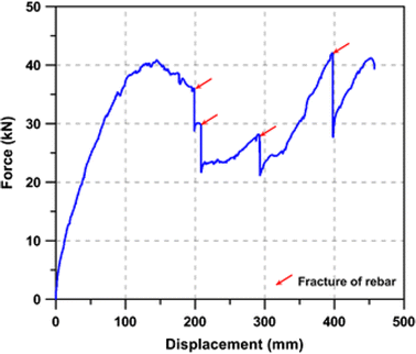 Fig. 10