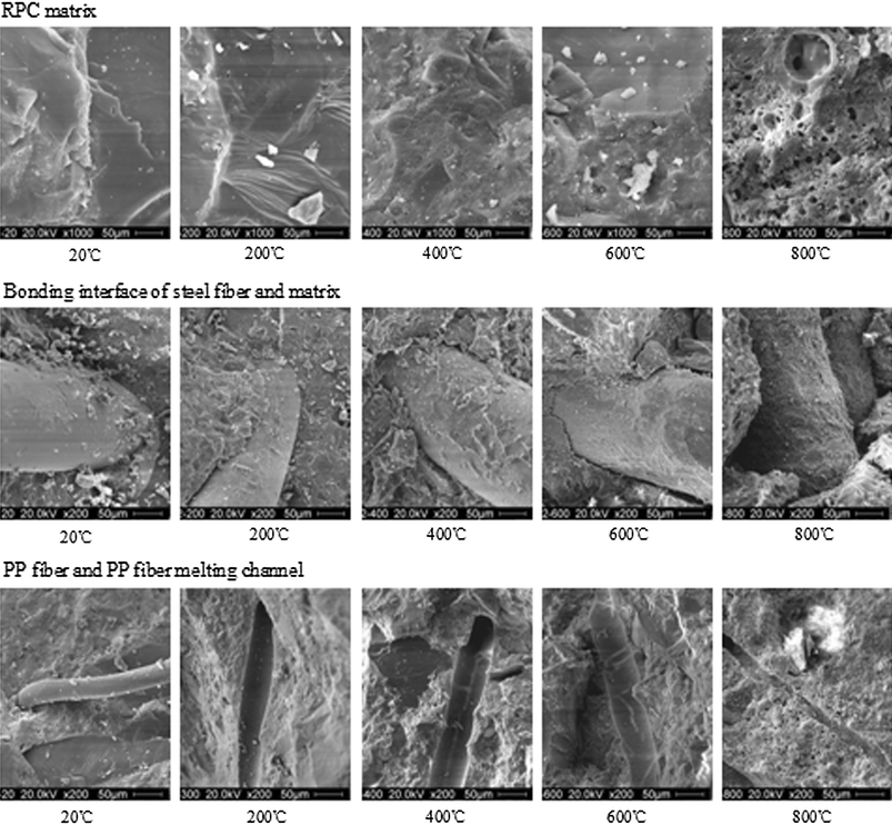 Fig. 8