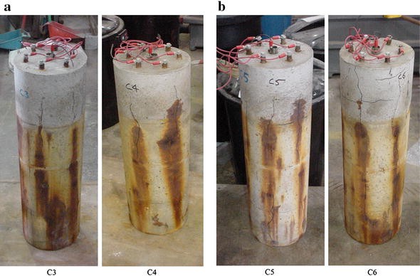 Fig. 12