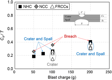 Fig. 10