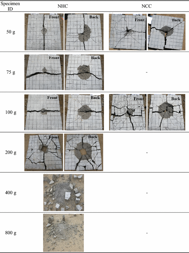 Fig. 5