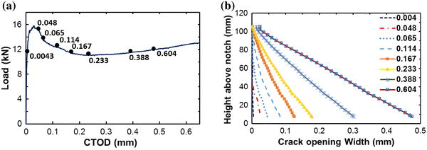 Fig. 10