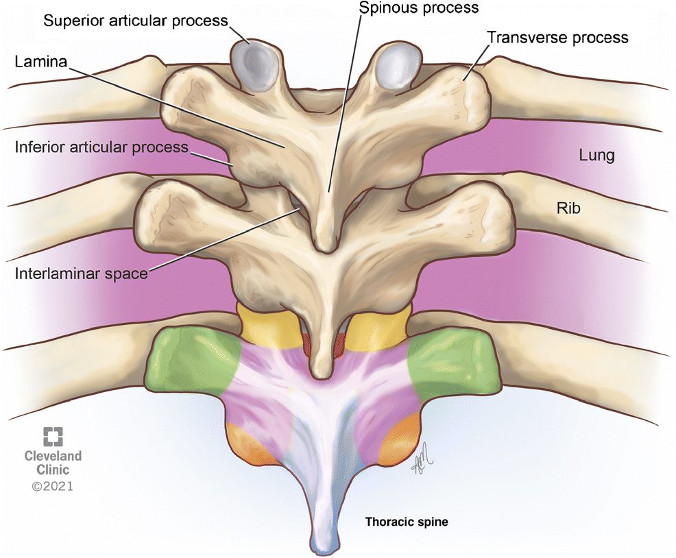 Fig. 20