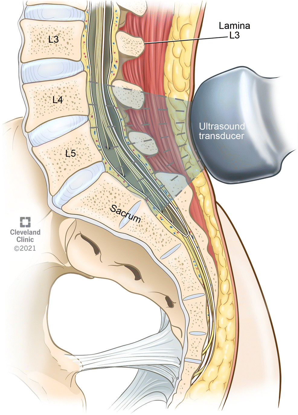 Fig 8