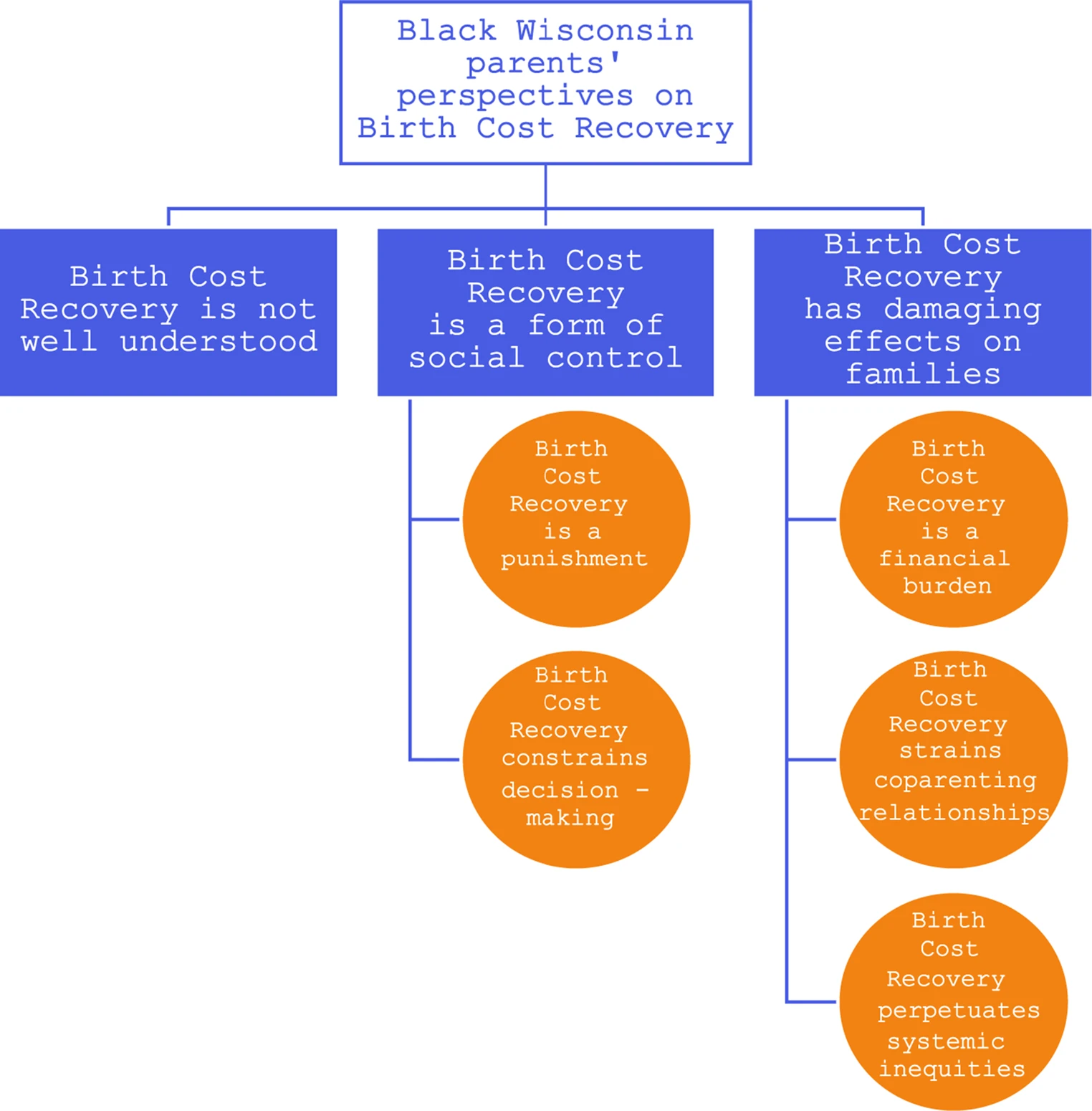 Flowchart: Black WI parents' perspectives on Birth Cost Recovery