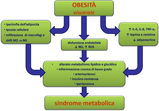 Figure 2 | Dieta, infiammazione e malattie metaboliche | SpringerLink