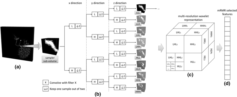 Fig. 3