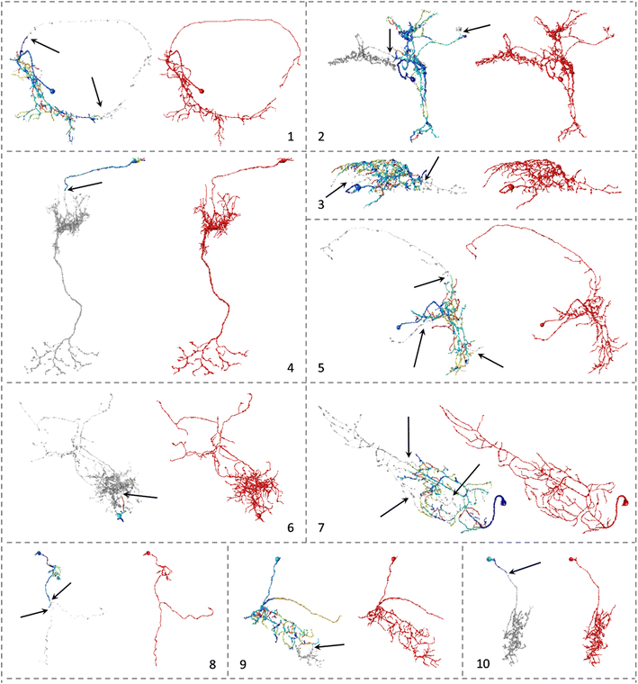 Fig. 4