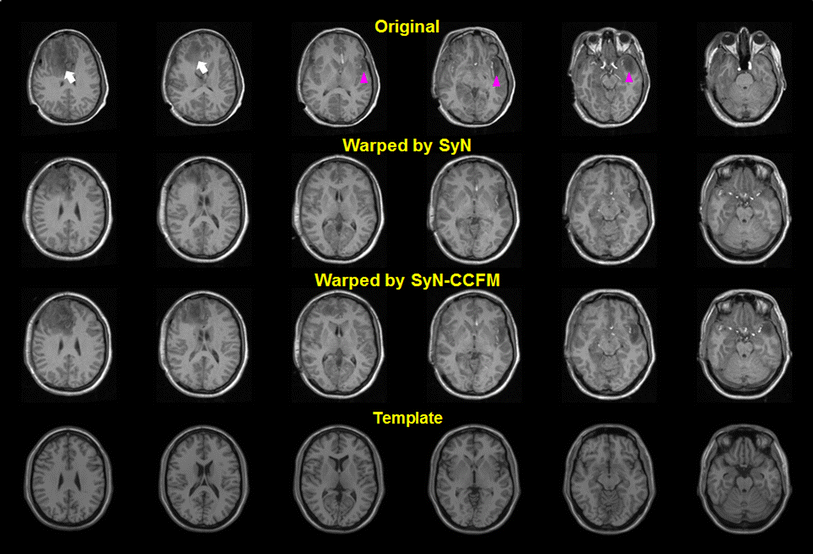 Fig. 4