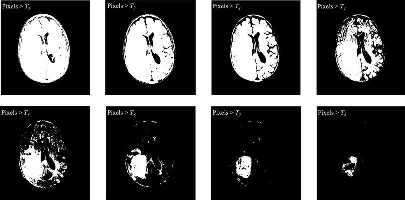 Fig. 4