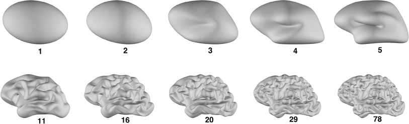 Fig. 10