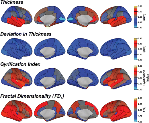 Fig. 7