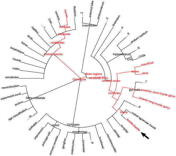 Fig. 3