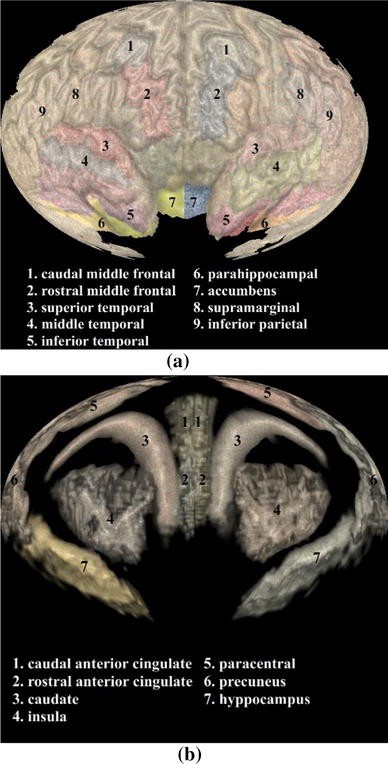 Fig. 13