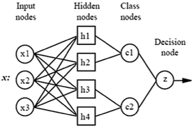 Fig. 1