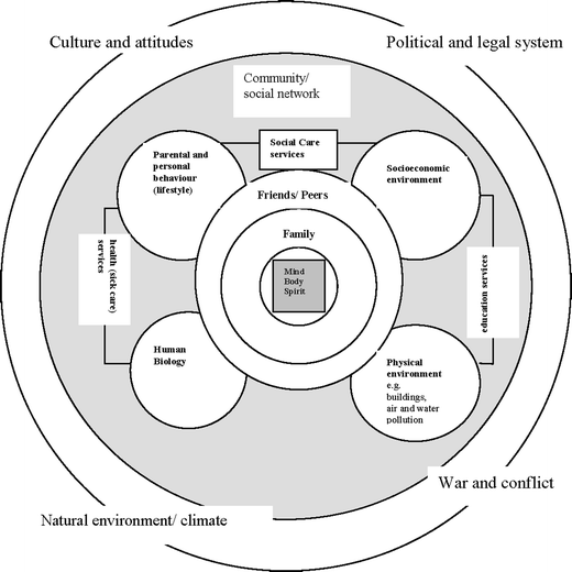 Figure 2 | Challenges and Solutions for the Safety of Children in the  Community | SpringerLink