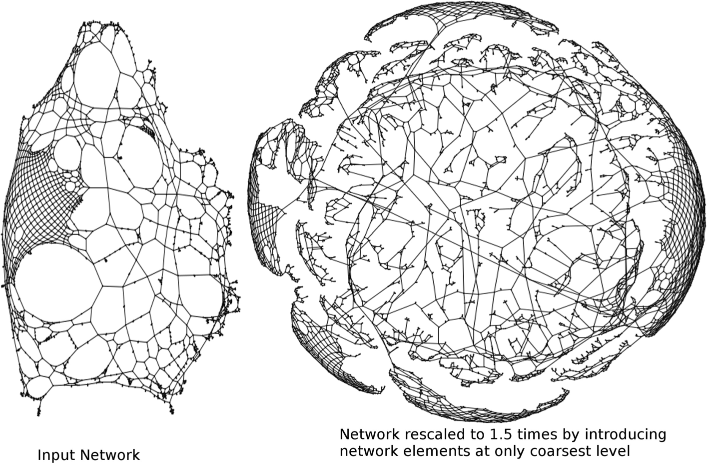 Fig. 24