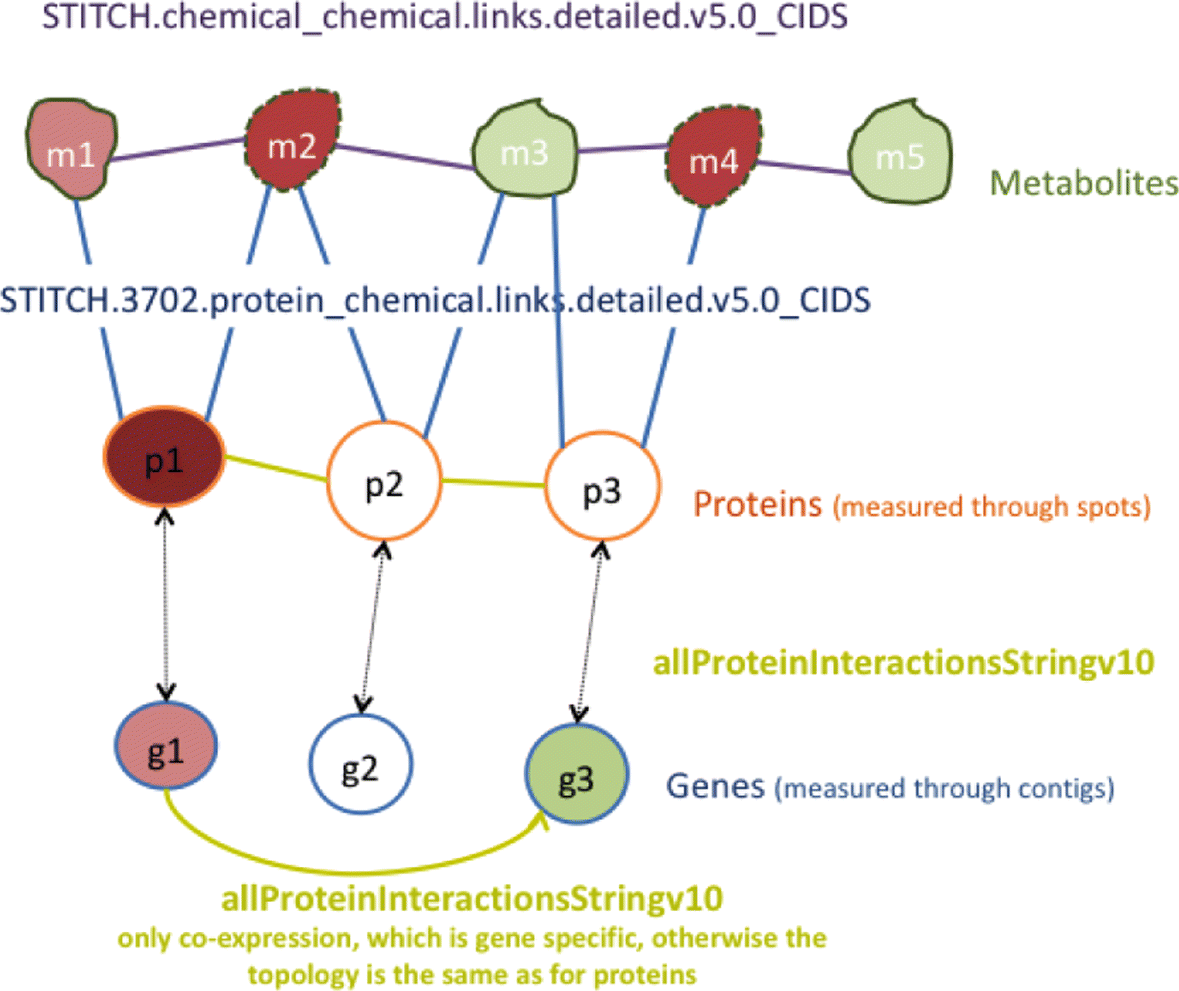 Fig. 8