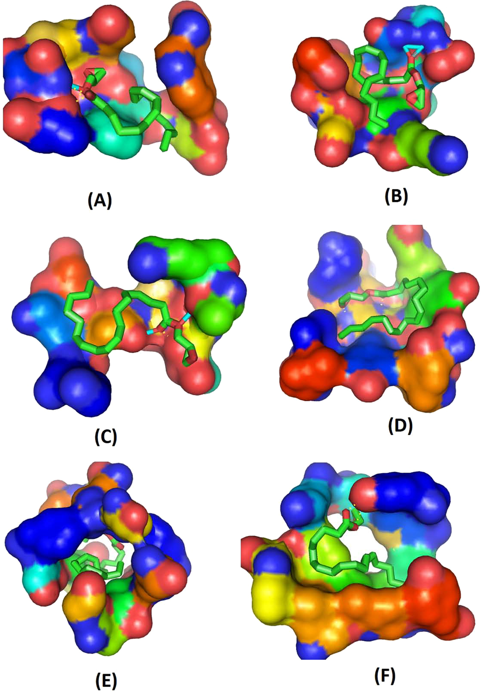 Fig. 8