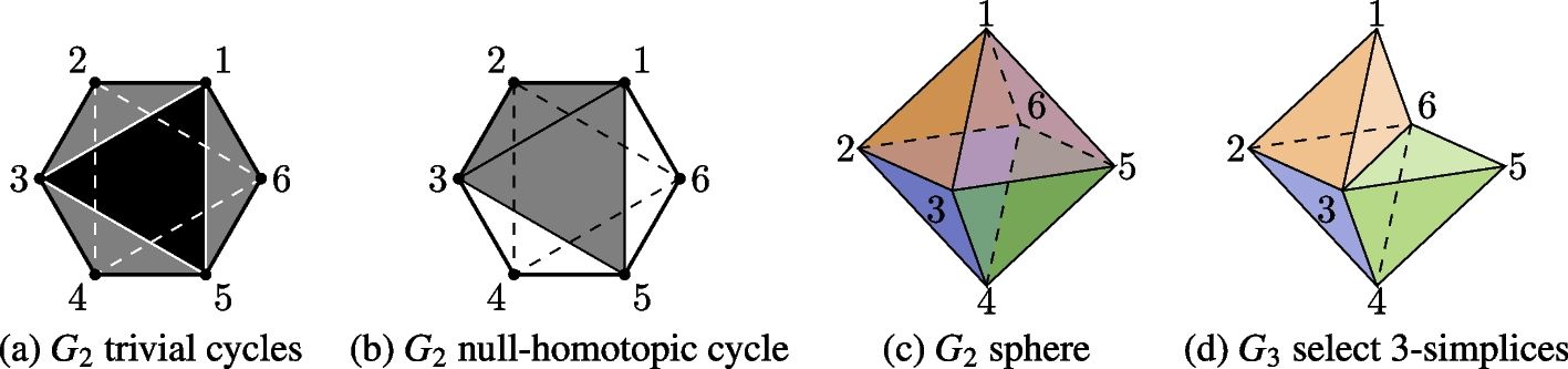 Fig. 5