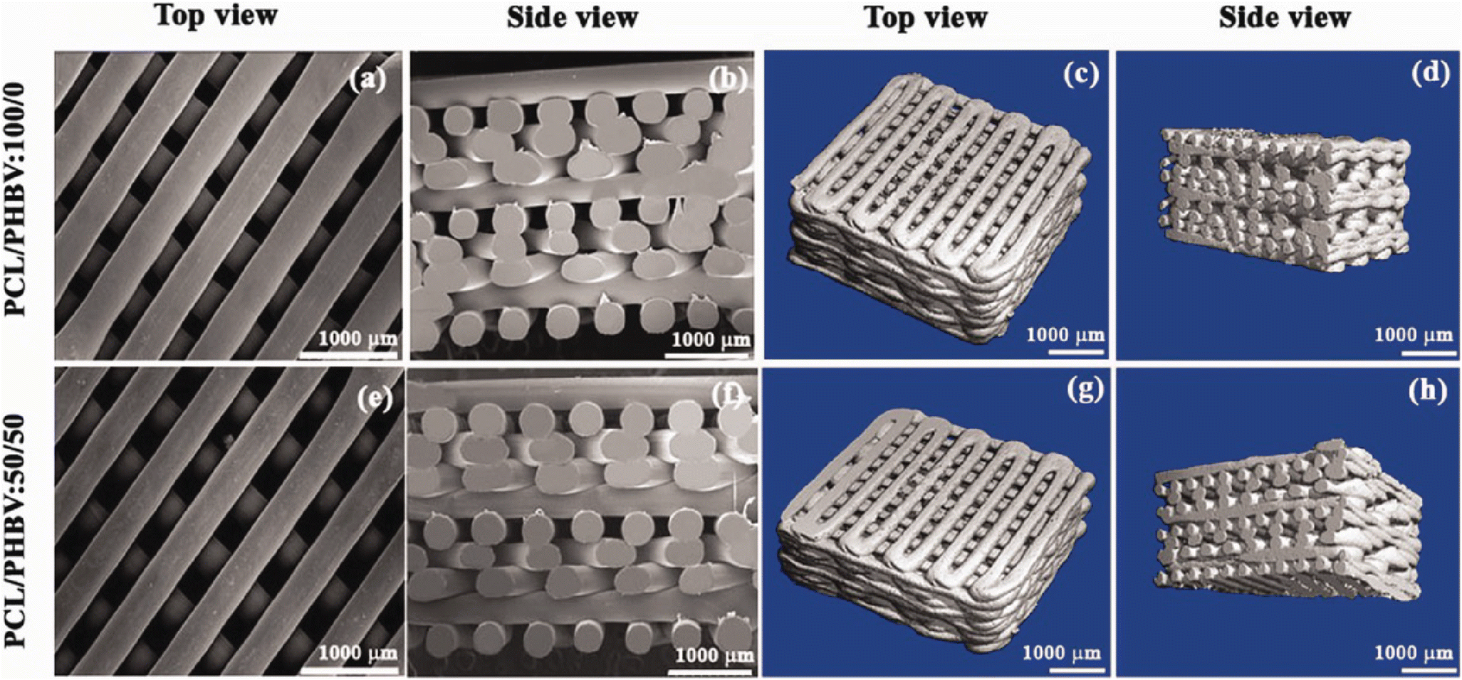 Figure 6 3d Printing Of Polymeric Tissue Engineering Scaffolds Using Open Source Fused Deposition Modeling Springerlink Figure 6 3d Printing Of Polymeric Tissue Engineering Scaffolds Using Open Source Fused Deposition Modeling Springerlink
