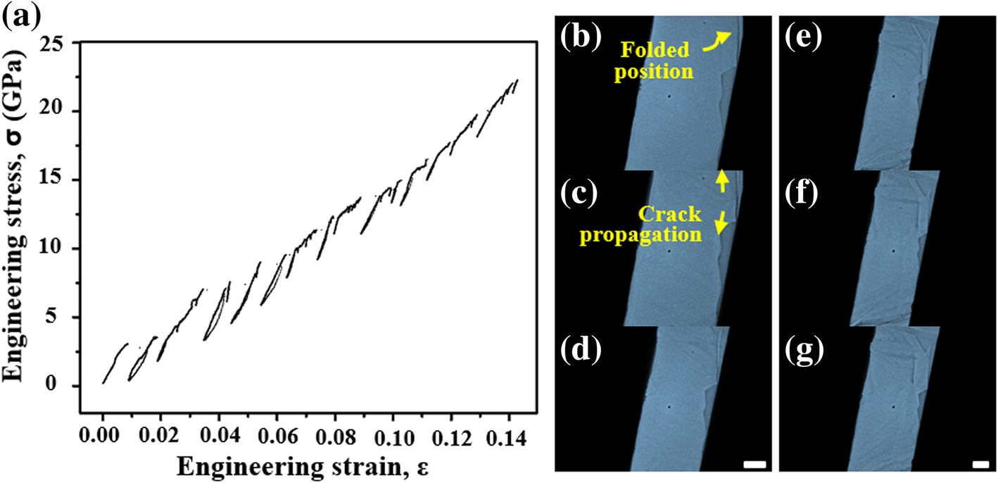 Fig. 4