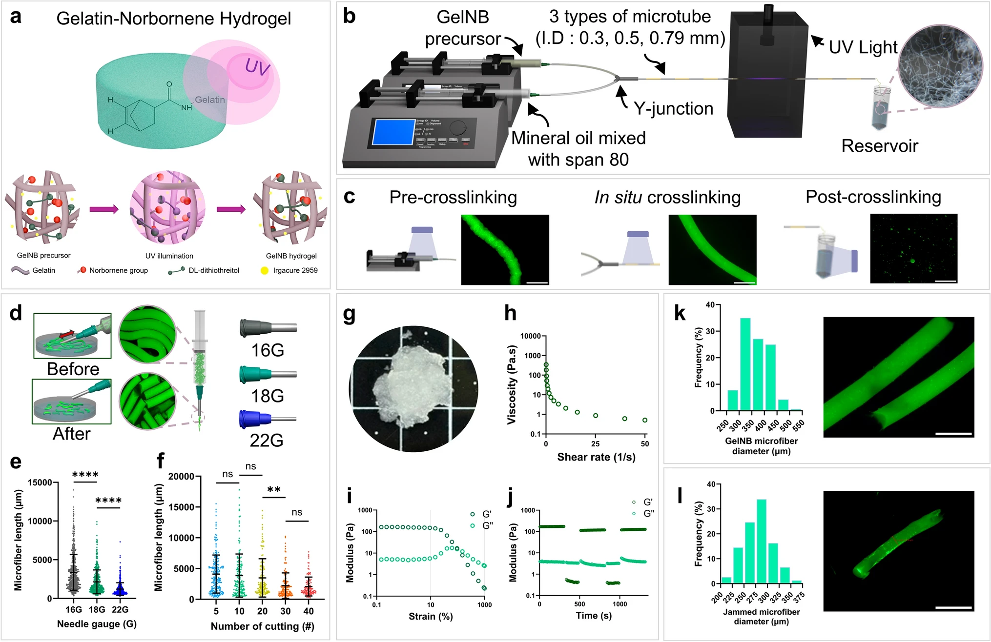 Fabrication and analysis of GelNB microfiber inks
