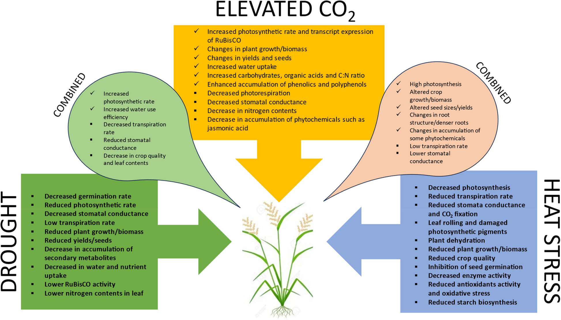 Resumo do efeito do CO2 nas culturas e suas interações contrárias com a seca e o estresse por calor