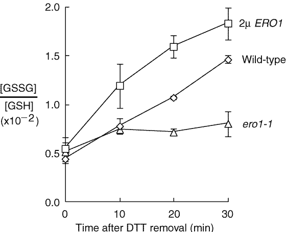 Competition between glutathione and protein thiols for disulphide-bond formation | Nature Cell Biology Competition between glutathione and protein thiols for disulphide-bond formation | Nature Cell Biology