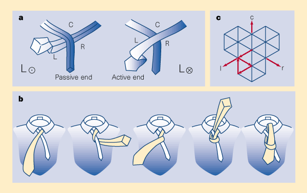 Tie knots: How to Tie a Tie