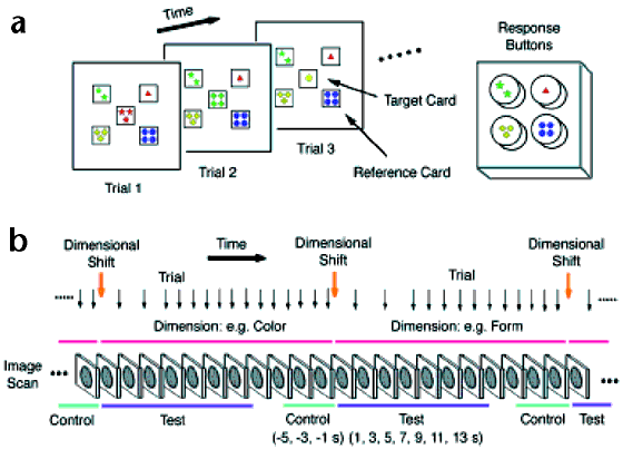 Dimension Shift, CARDS