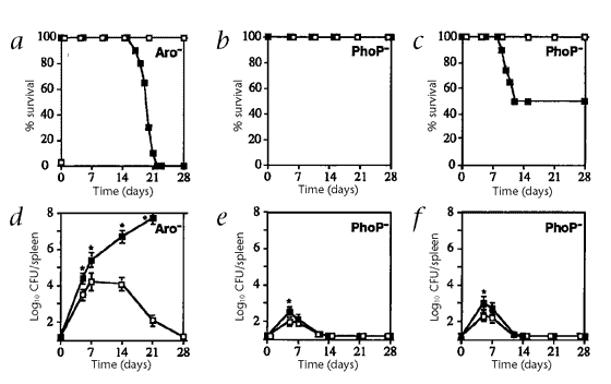 Regulation Of Host Immune Responses By Modification Of Salmonella Virulence Genes Nature Medicine
