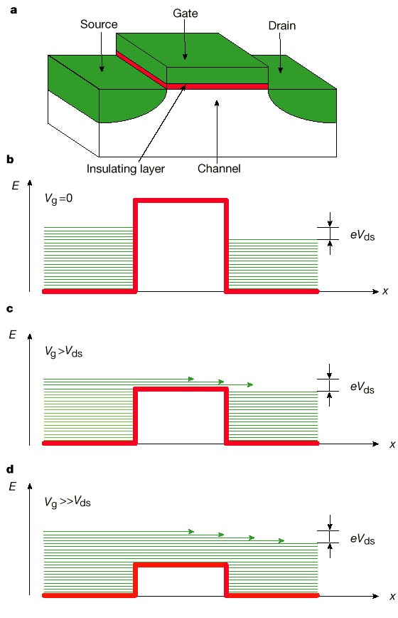 Amplifying Quantum Signals With The Single Electron Transistor Nature