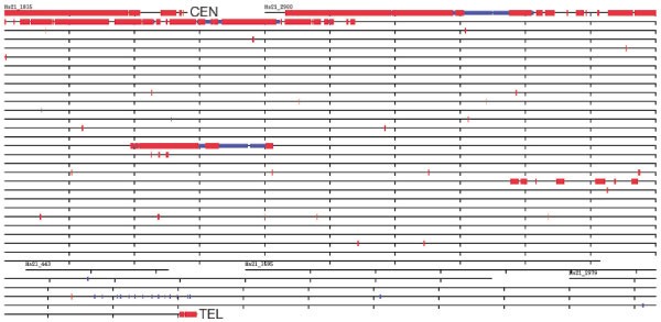 Figure 31: Duplication landscape of chromosome 21.