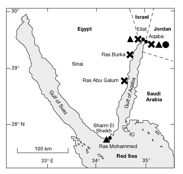 Endoscopic Exploration Of Red Sea Coral Reefs Reveals Dense
