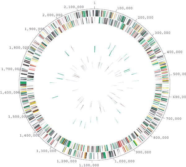 The Complete Genome Sequence Of The Hyperthermophilic Sulphate Reducing Archaeon Archaeoglobus Fulgidus Nature