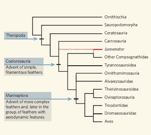 https://media.springernature.com/full/springer-static/image/art%3A10.1038%2F440287a/MediaObjects/41586_2006_Article_BF440287a_Fig1_HTML.jpg