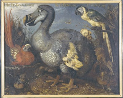digtere veltalende hykleri Digging for dodo | Nature