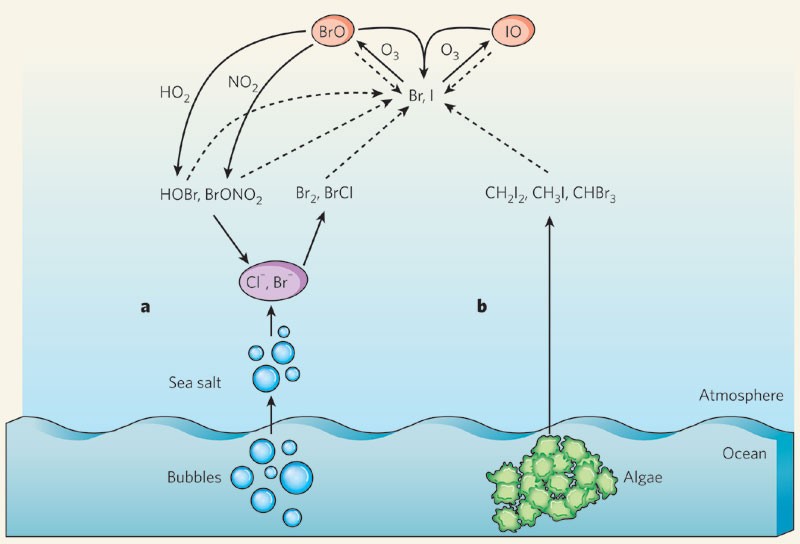 Sun Sea And Ozone Destruction Nature - 
