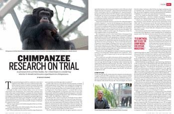 Animal rights: Chimpanzee research on trial | Nature