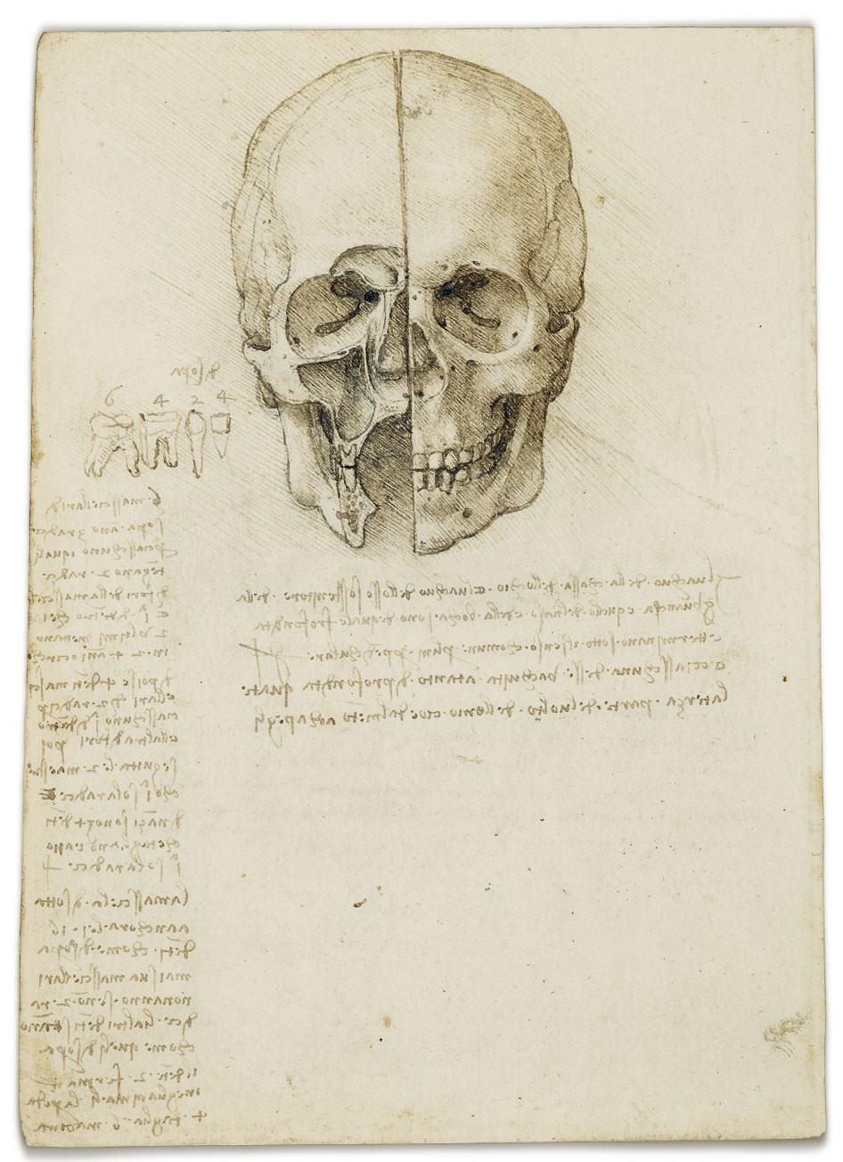 Medicine: Leonardo's anatomy years | Nature