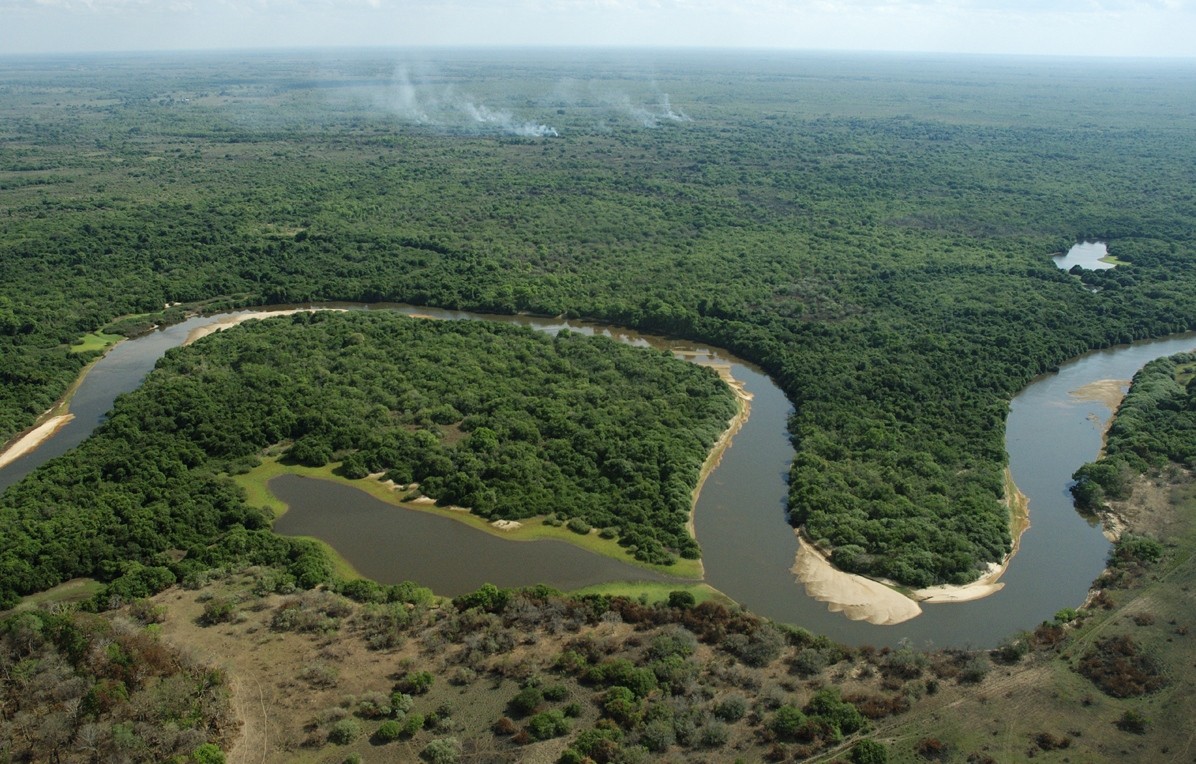 President prunes forest reforms | Nature