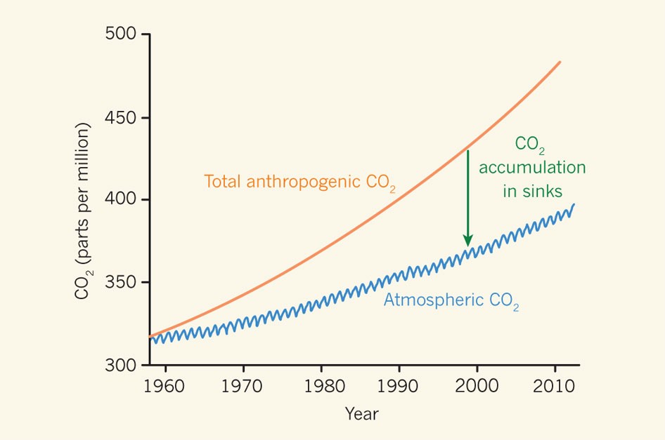 Увеличение количества углекислого газа