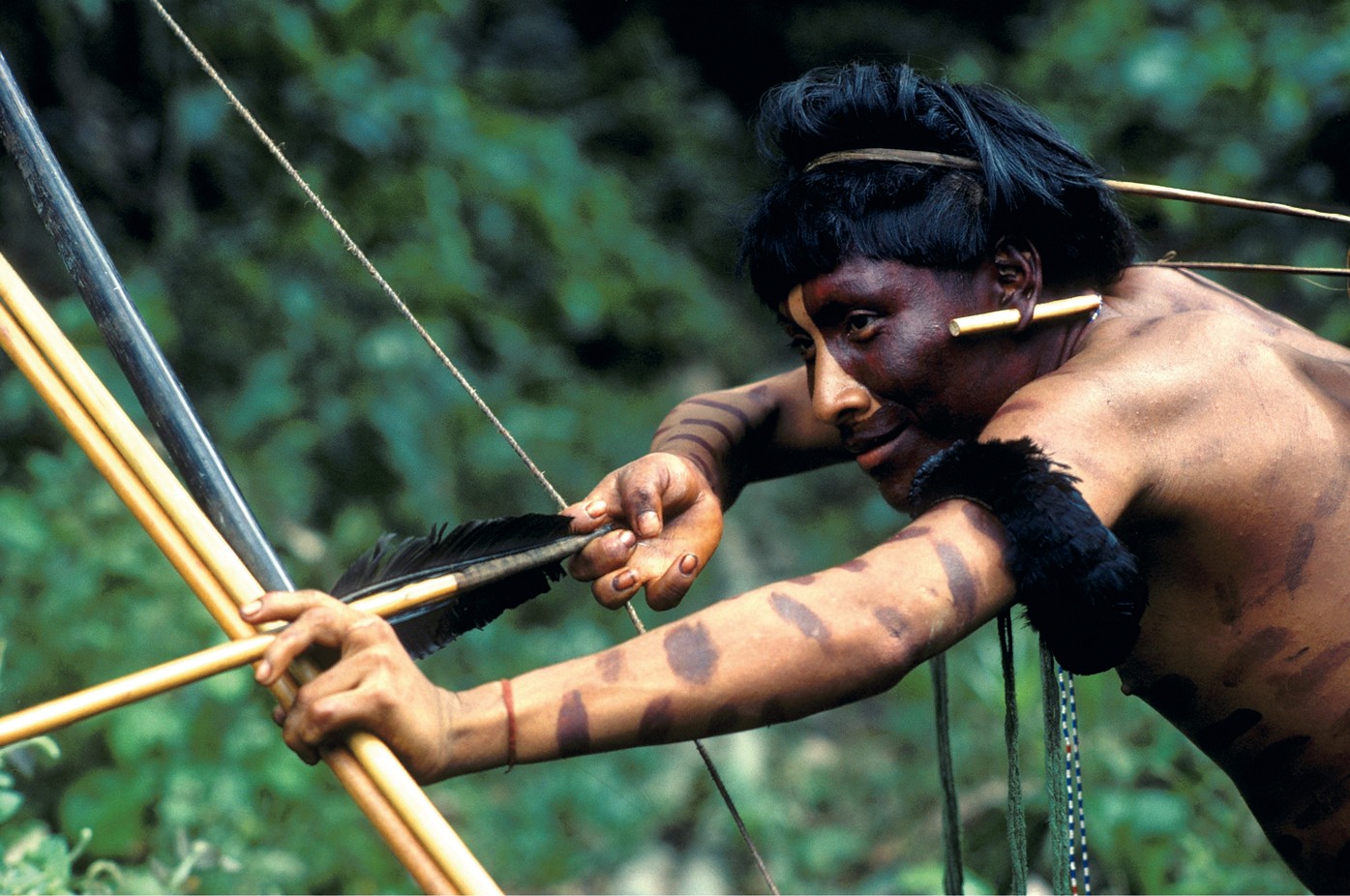Anthropology: Tribal warfare | Nature