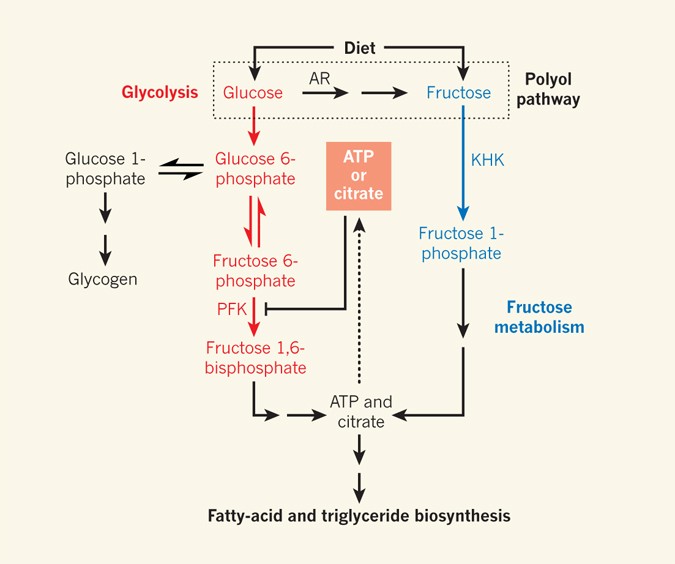 https://media.springernature.com/full/springer-static/image/art%3A10.1038%2F502181a/MediaObjects/41586_2013_Article_BF502181a_Fig1_HTML.jpg