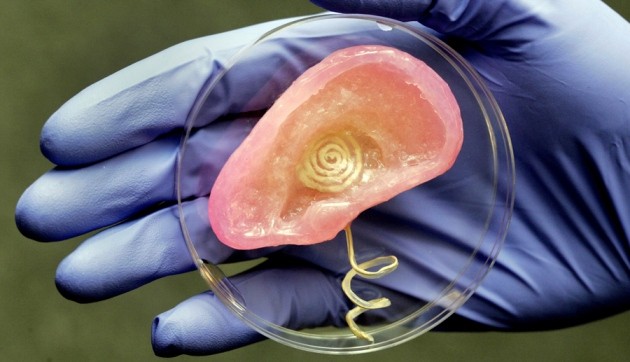 The printed organs coming to near |