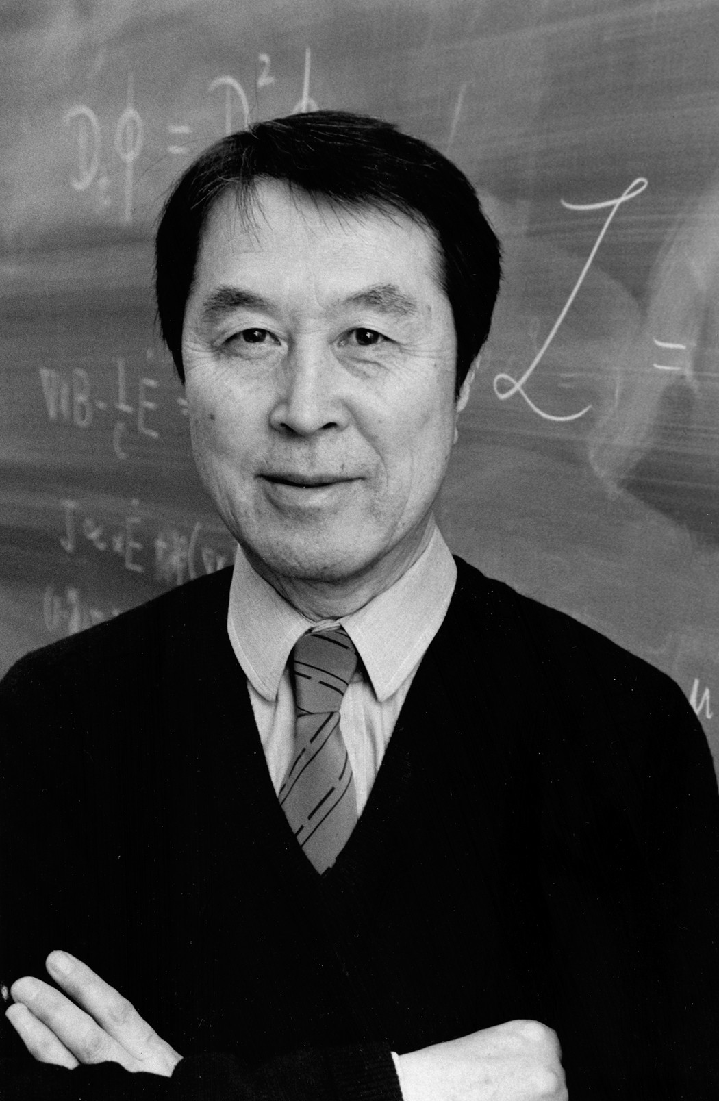Yoichiro Nambu 1921 2015 Nature