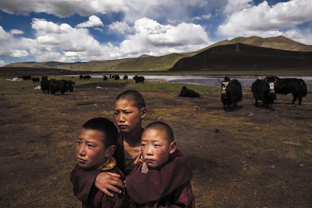 resultat min Dental Trouble in Tibet | Nature